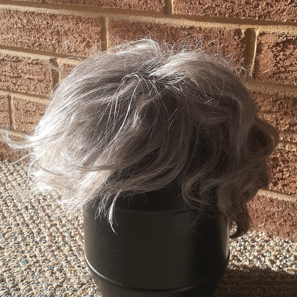 Paula Young Wig SIZE L